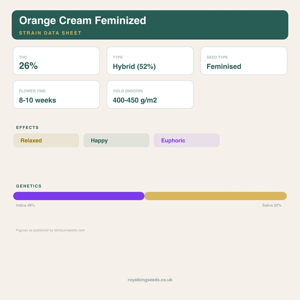 Orange Cream 48% indica / 52% sativa flower with visible trichomes
