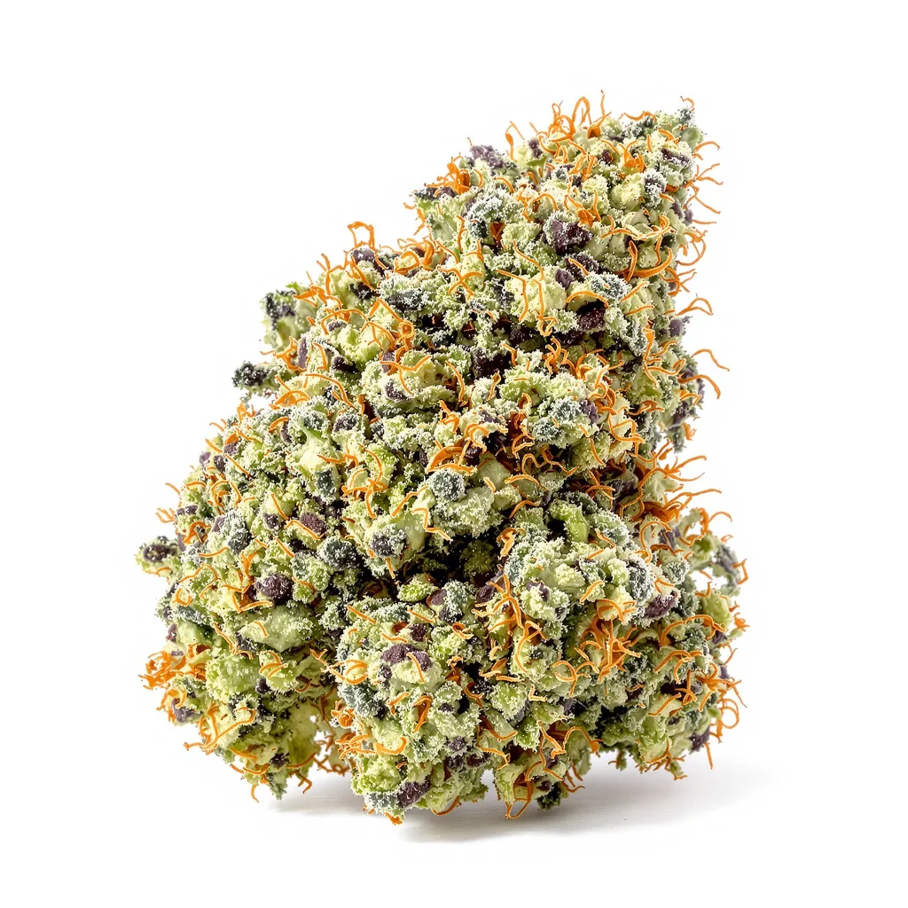 Orange Cream cannabis plant in flowering stage — 120-180 cm feminised