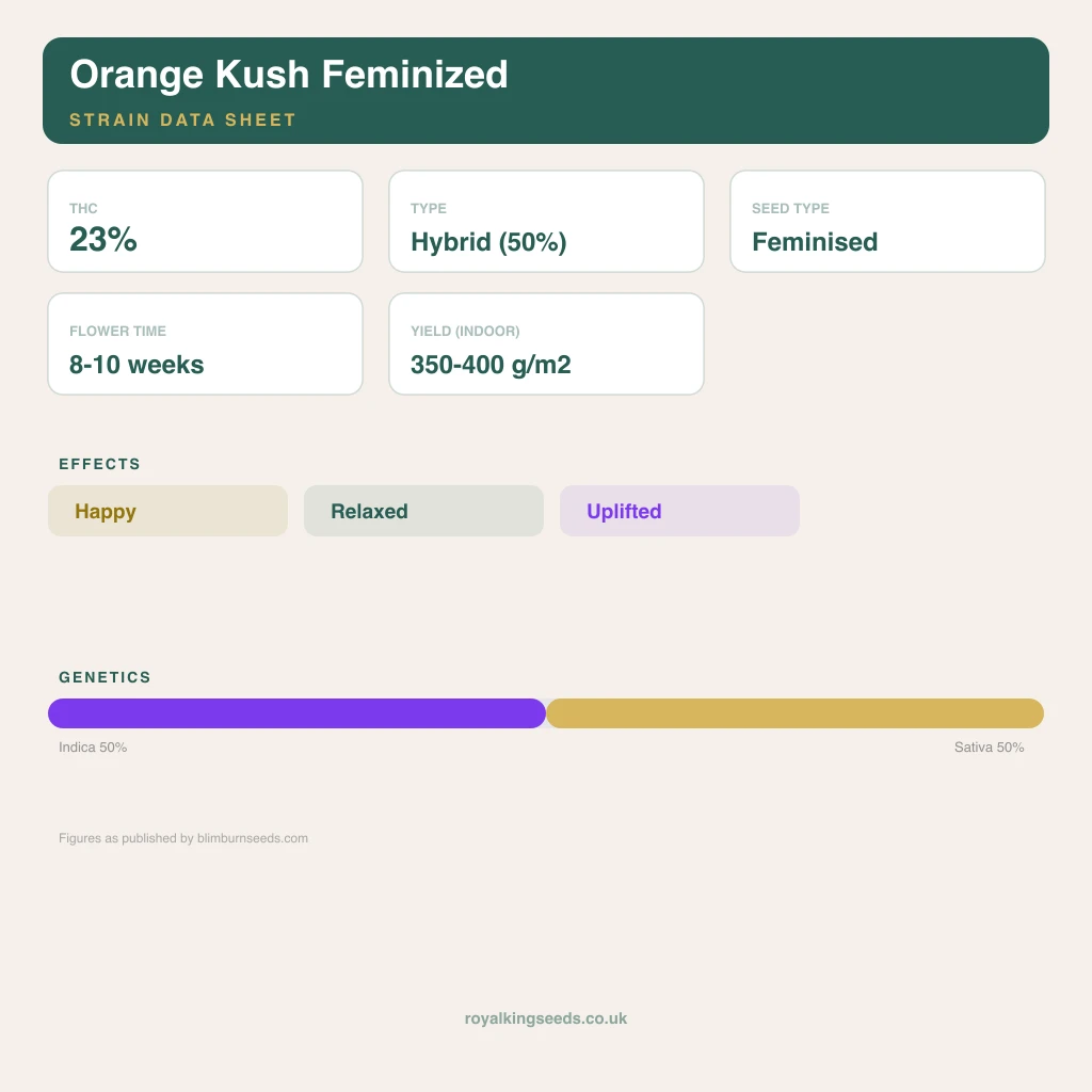 Orange Kush 50% indica / 50% sativa flower with visible trichomes