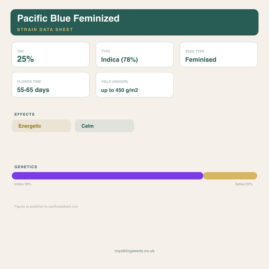 Pacific Blue 78% indica / 22% sativa flower with visible trichomes