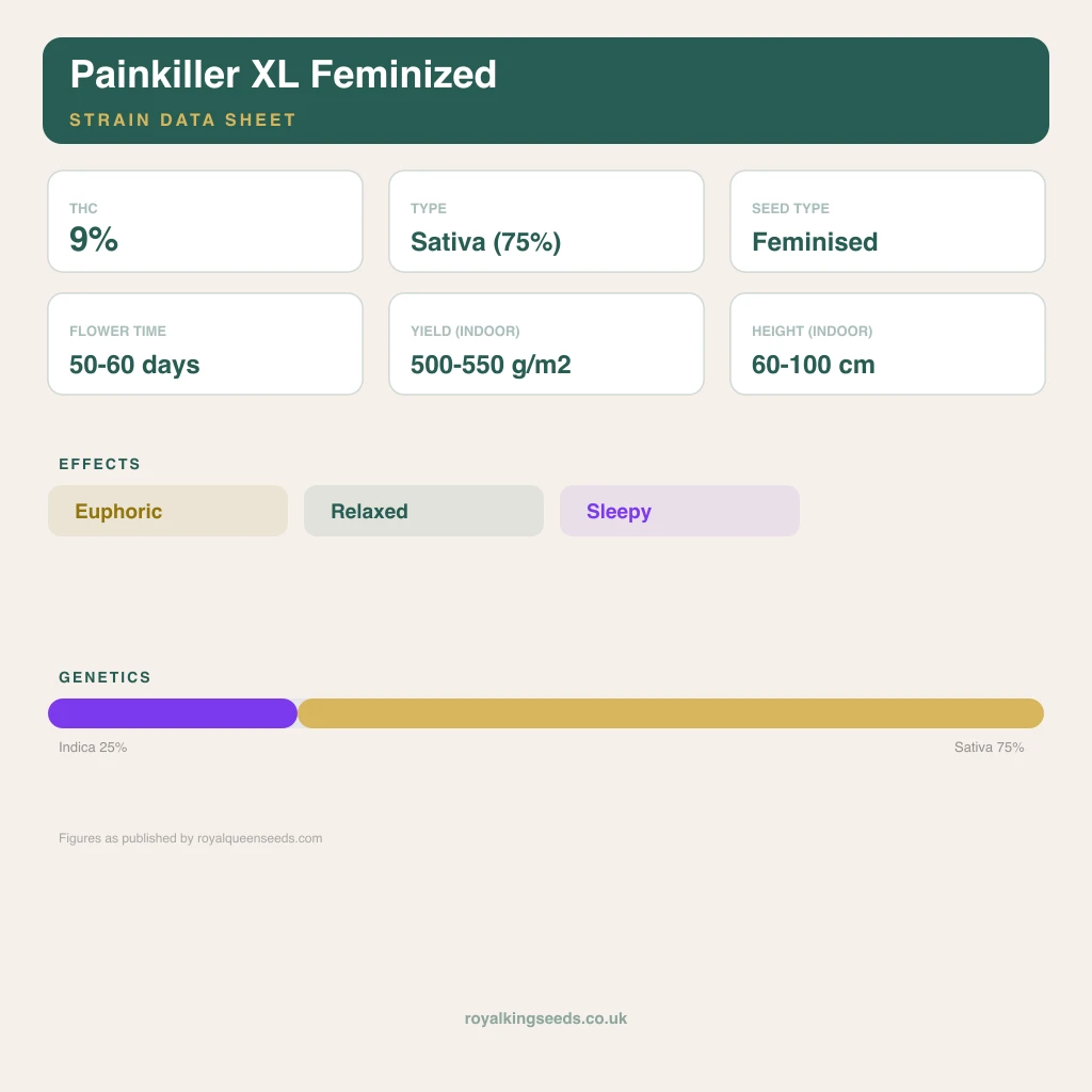Painkiller XL 25% indica / 75% sativa flower with visible trichomes