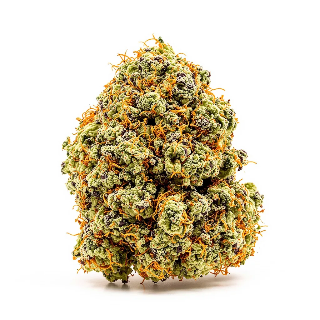 Pakistan Valley Kush cannabis plant in flowering stage — 60-100 cm autoflower