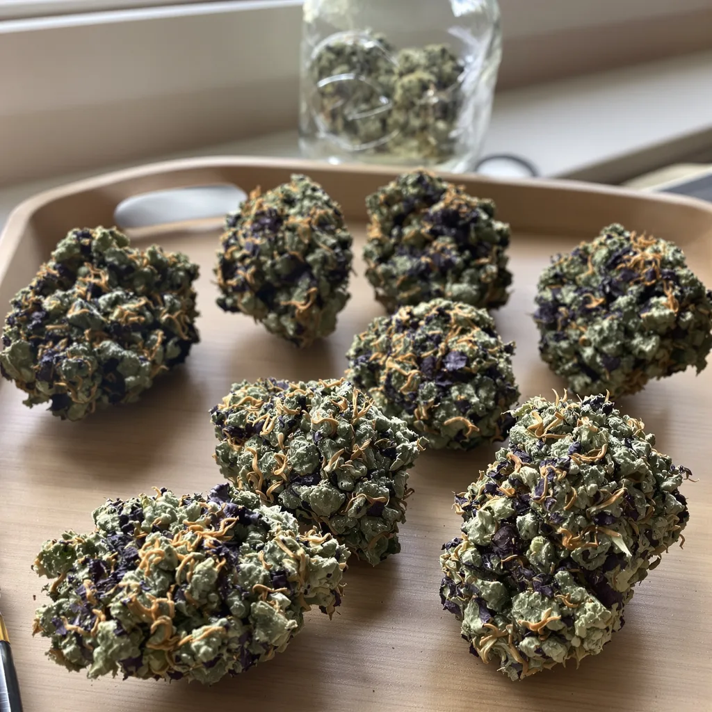 Pakistani Chitral Kush 86% indica / 14% sativa flower with visible trichomes