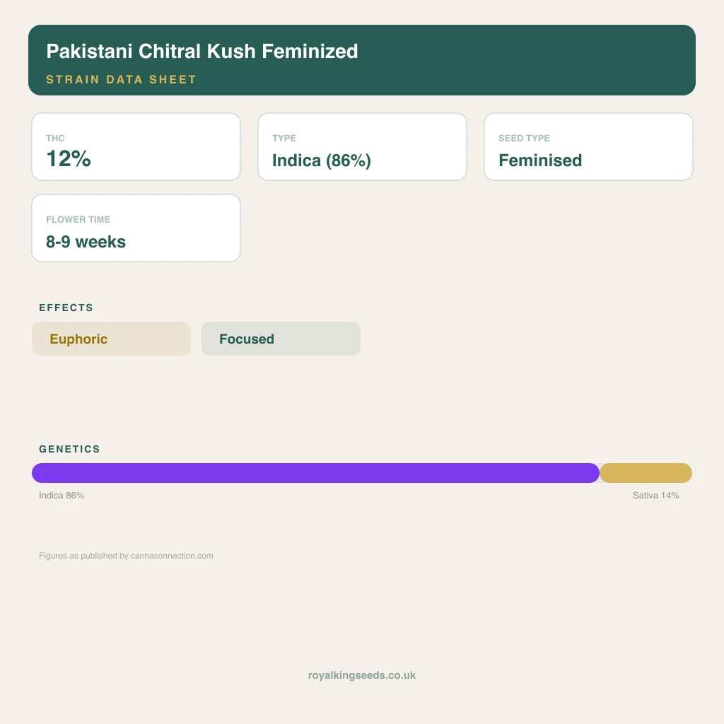 Pakistani Chitral Kush 86% indica / 14% sativa flower with visible trichomes