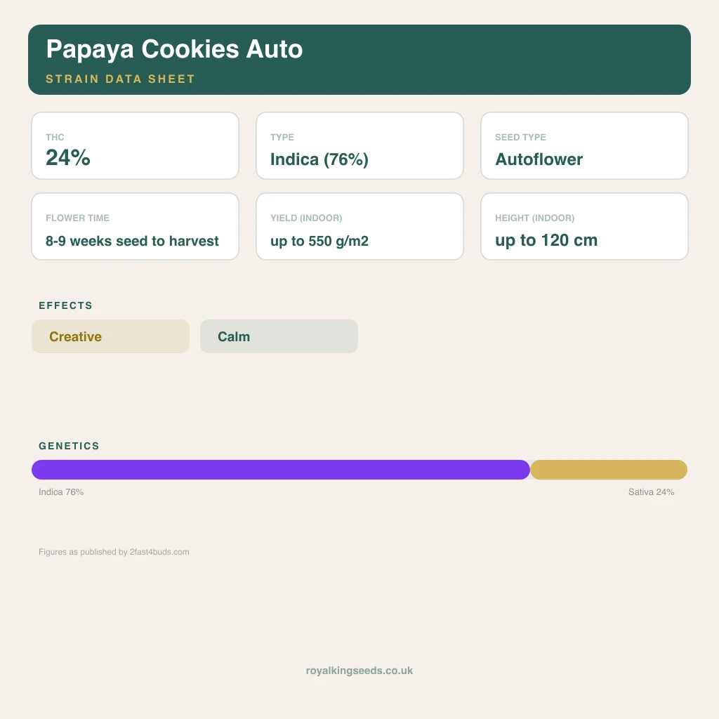 Papaya Cookies 76% indica / 24% sativa flower with visible trichomes