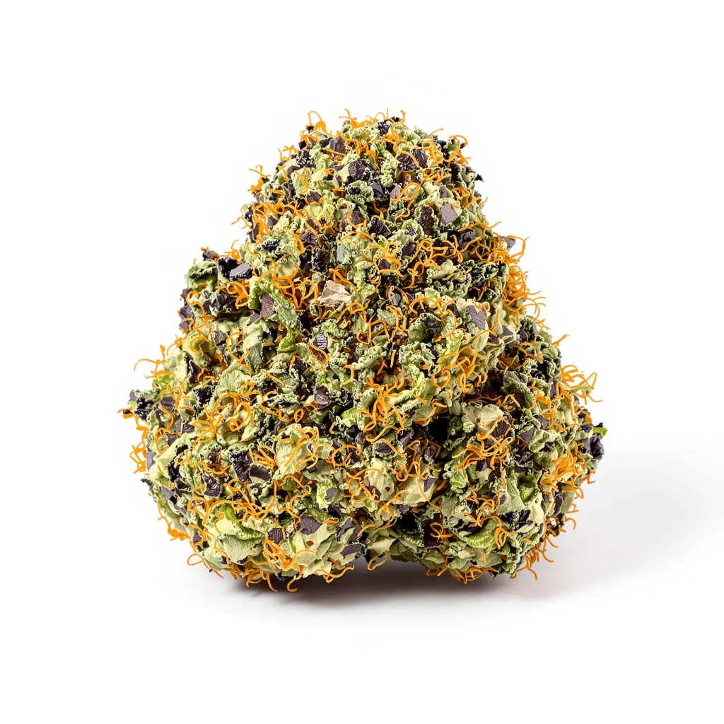 Paris XXX cannabis plant in flowering stage — 60-100 cm autoflower