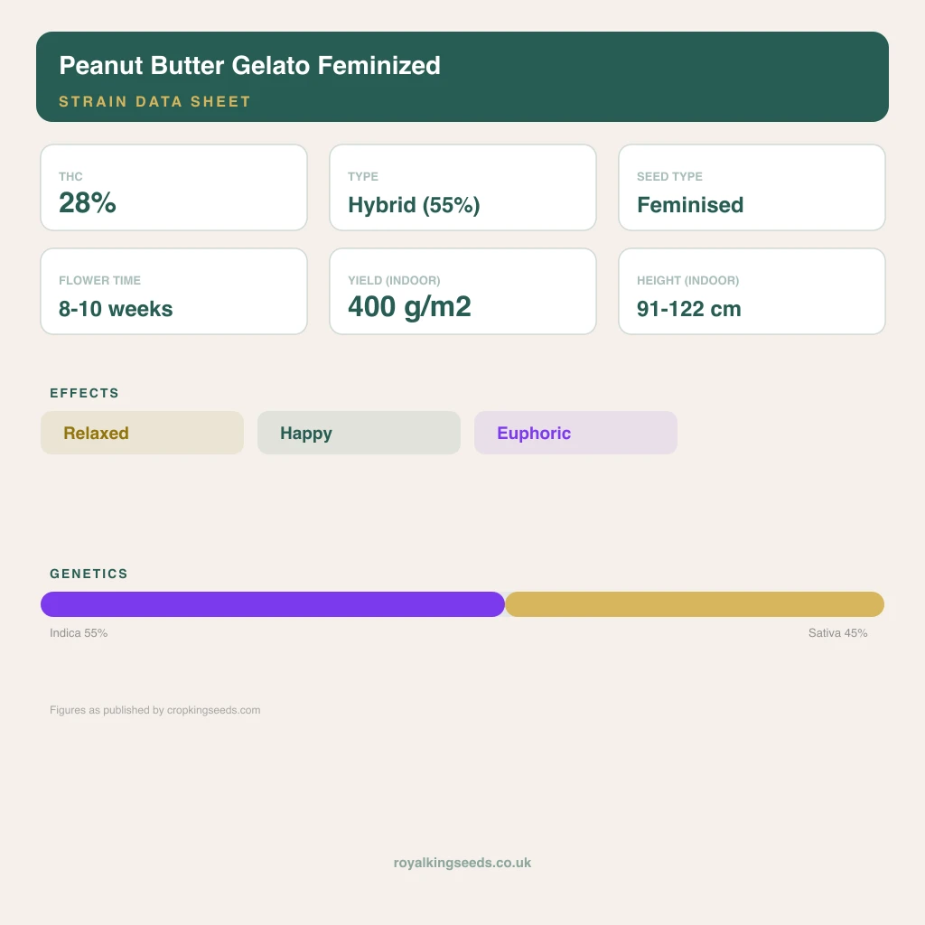 Peanut Butter Gelato 55% indica / 45% sativa flower with visible trichomes