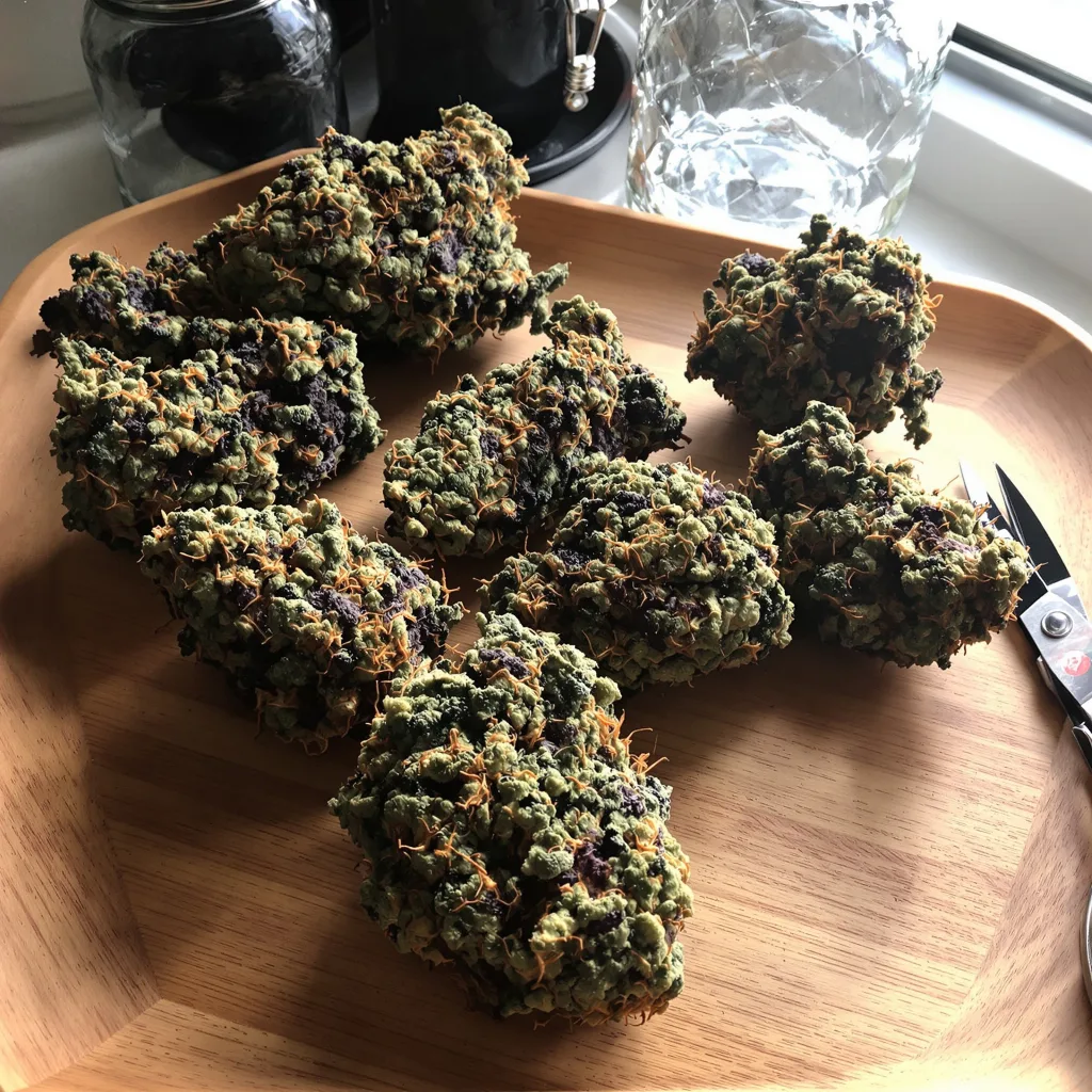 Pennywise 80% indica / 20% sativa flower with visible trichomes