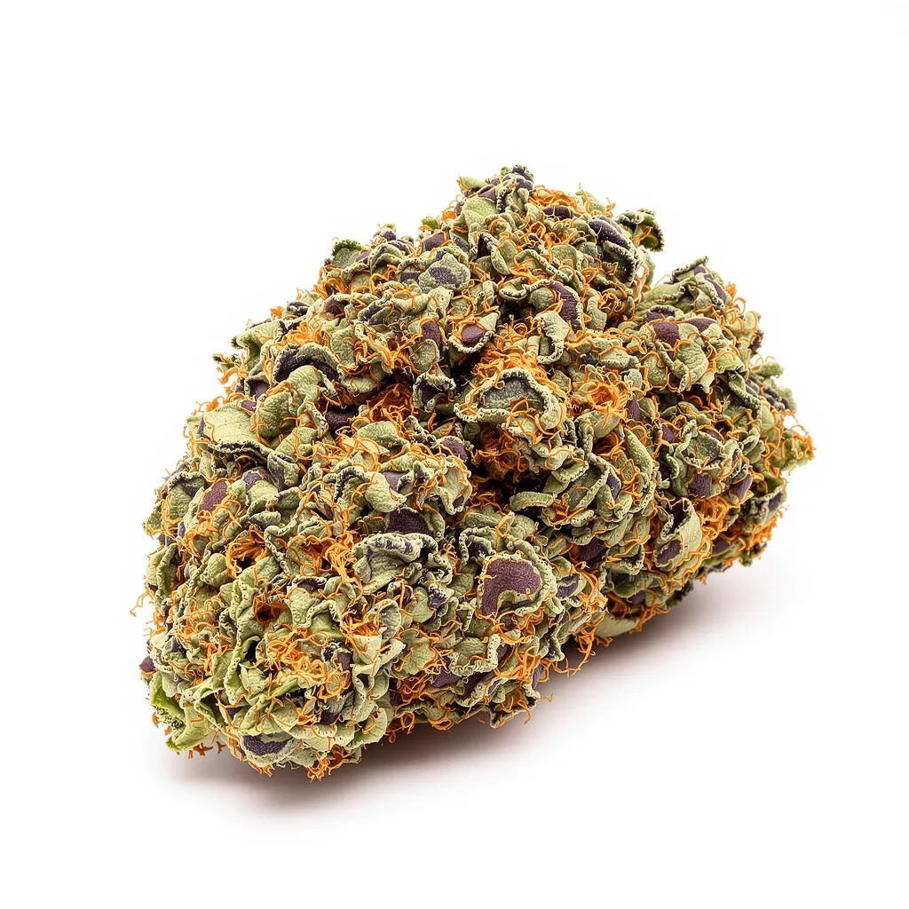 Pez cannabis plant in flowering stage — 90-130 cm feminised