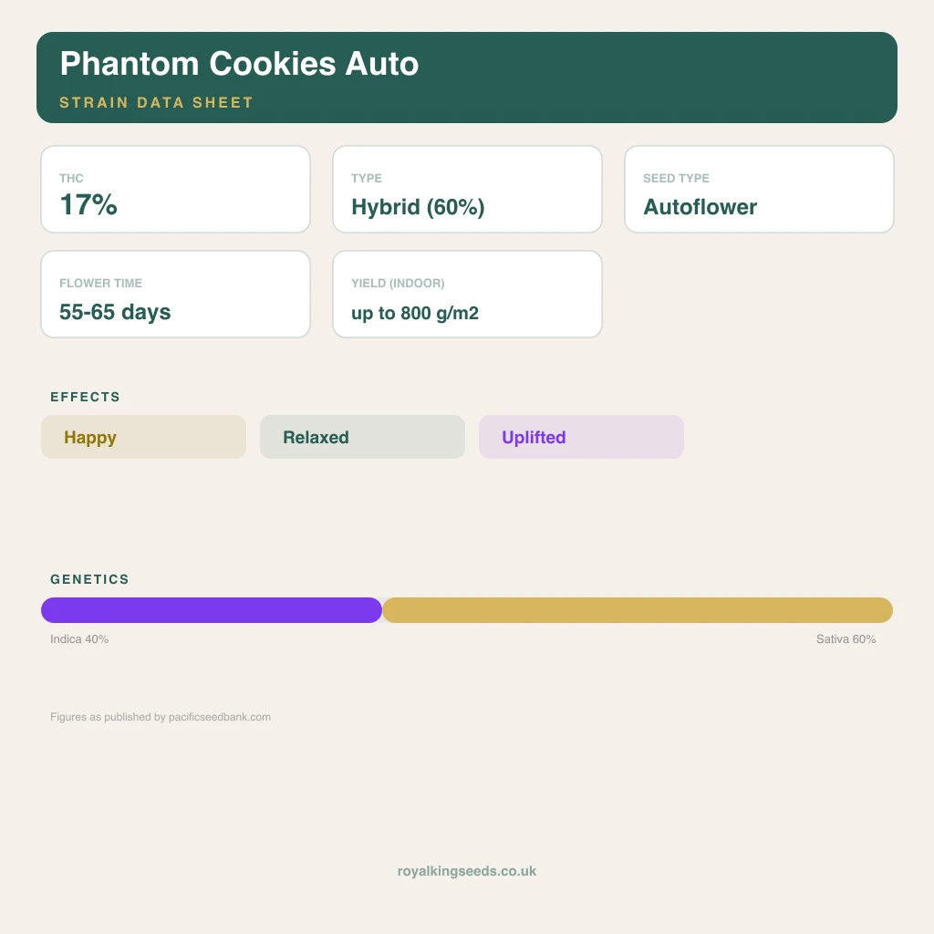 Phantom Cookies 40% indica / 60% sativa flower with visible trichomes
