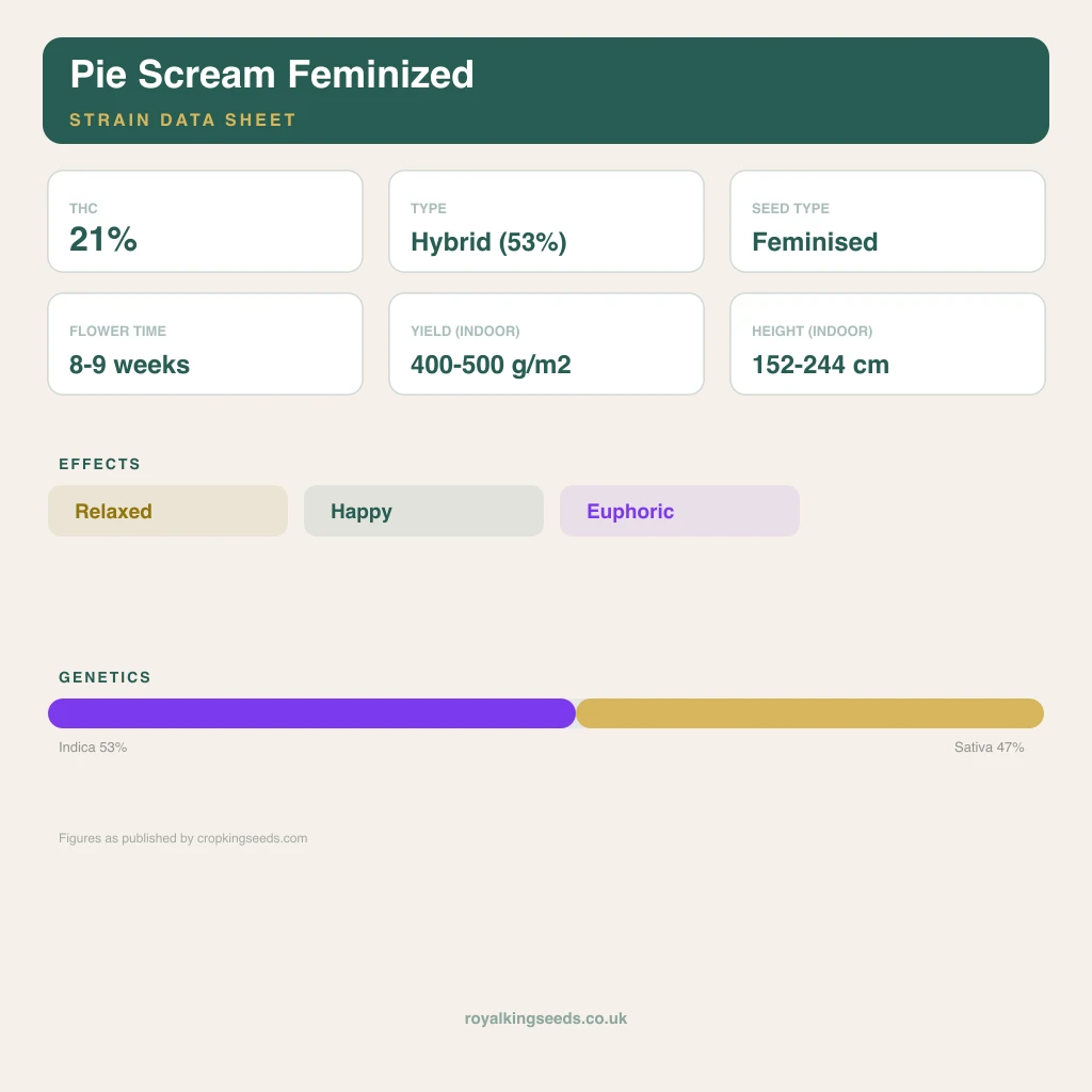 Pie Scream 53% indica / 47% sativa flower with visible trichomes