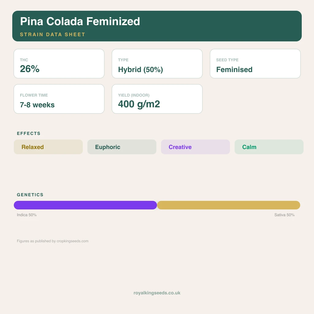 Pina Colada 50% indica / 50% sativa flower with visible trichomes