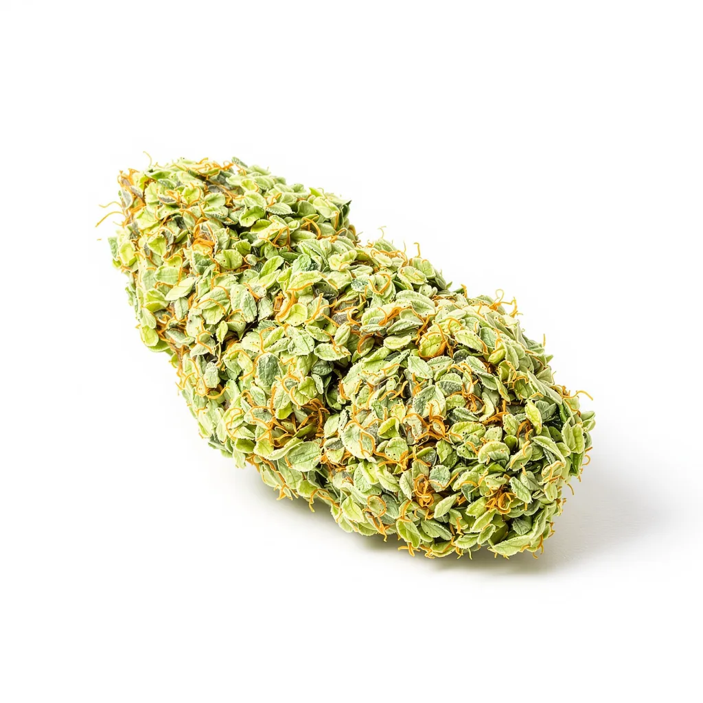 Pincher's Creek cannabis plant in flowering stage — 150-200 cm feminised