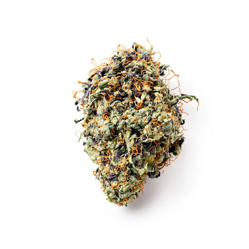 Pine Tar Kush cannabis plant in flowering stage — 90-130 cm feminised