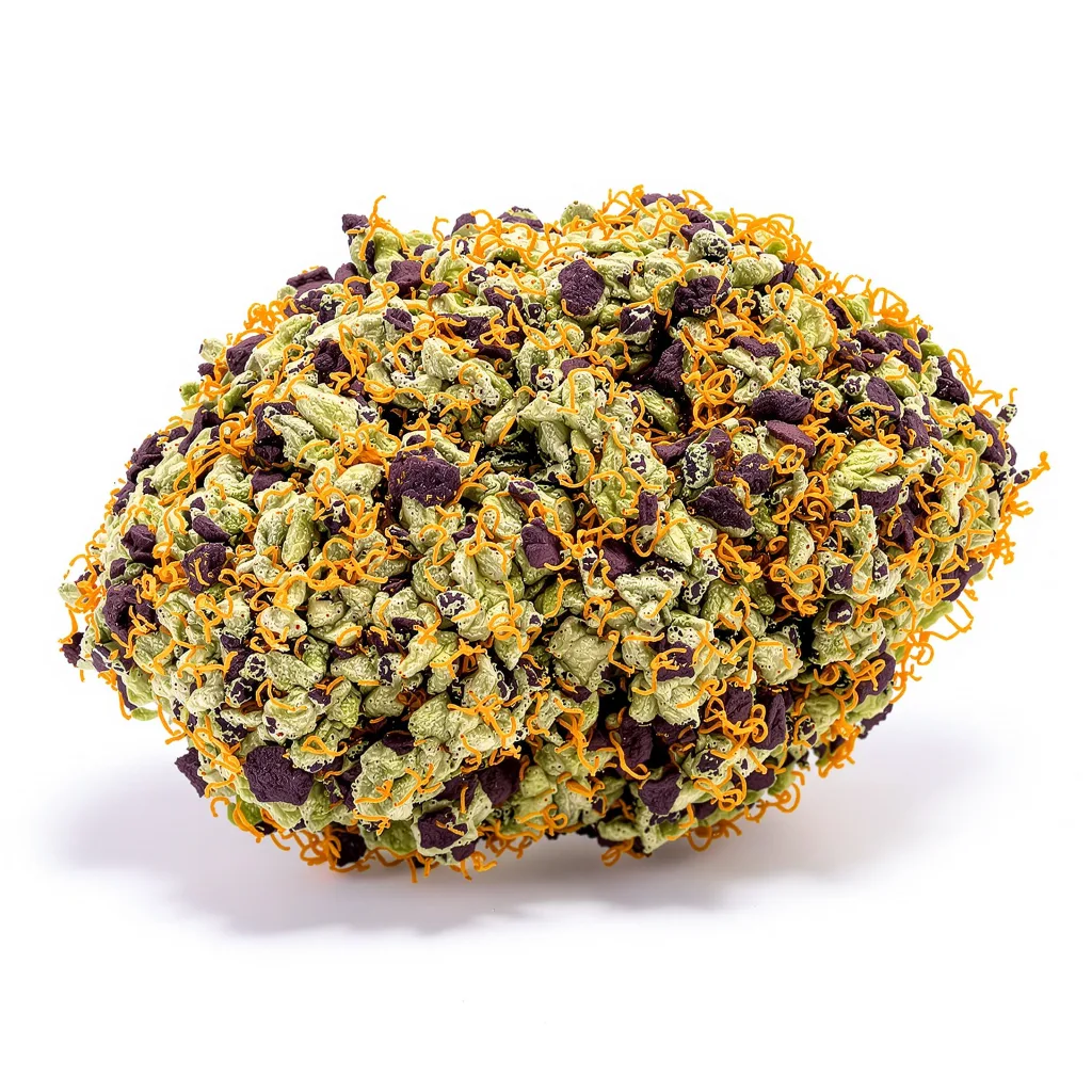 Pineapple Chunk cannabis plant in flowering stage — 90-130 cm feminised