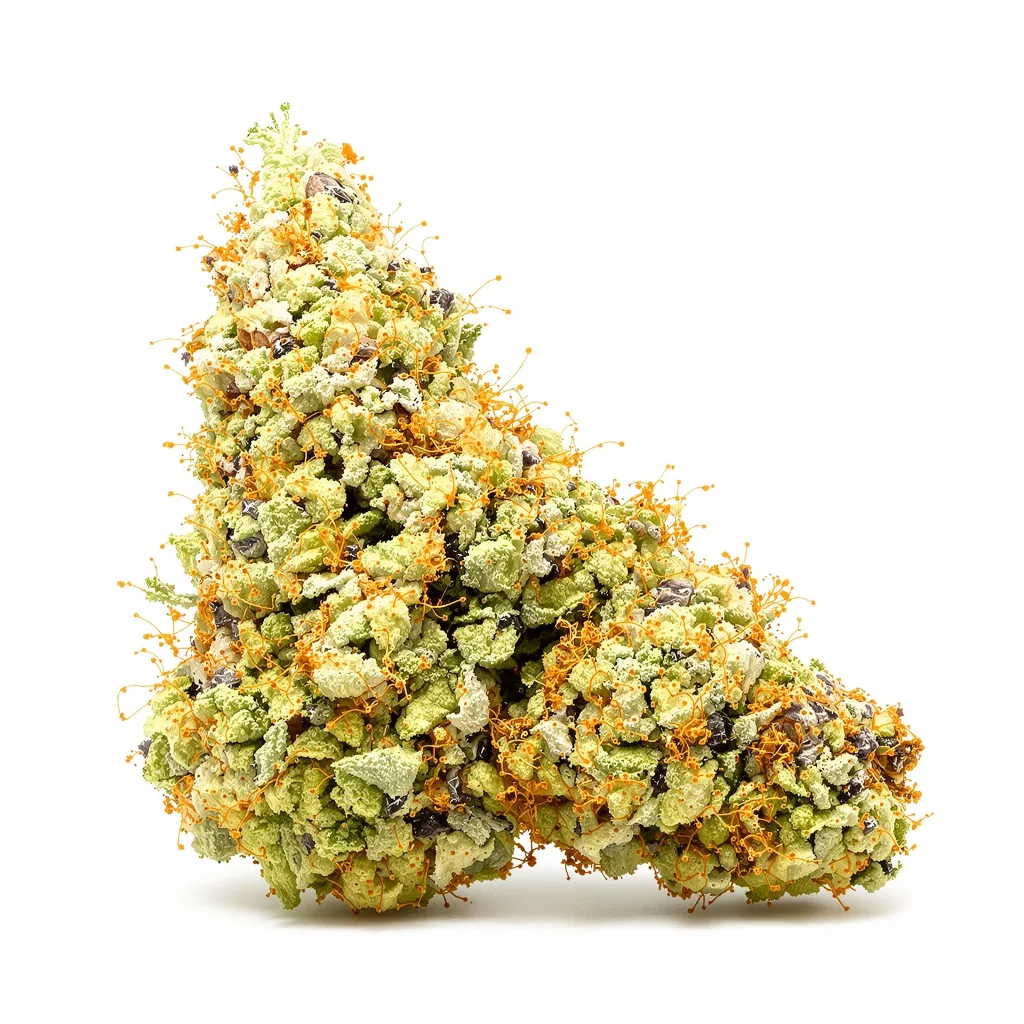 Pineapple Trainwreck cannabis plant in flowering stage — 150-200 cm feminised