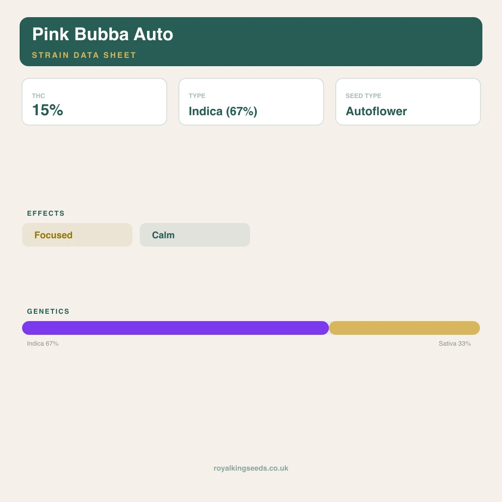 Pink Bubba 67% indica / 33% sativa flower with visible trichomes