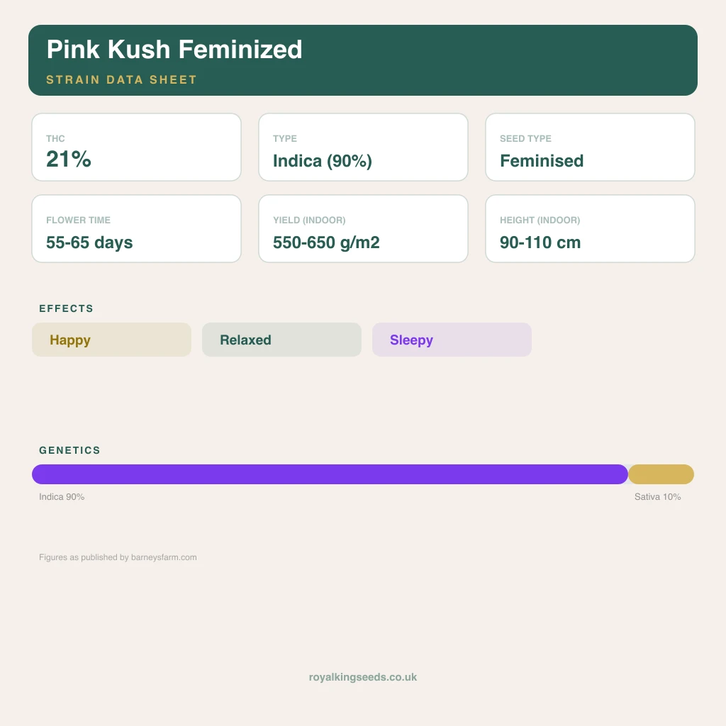 Pink Kush 90% indica / 10% sativa flower with visible trichomes