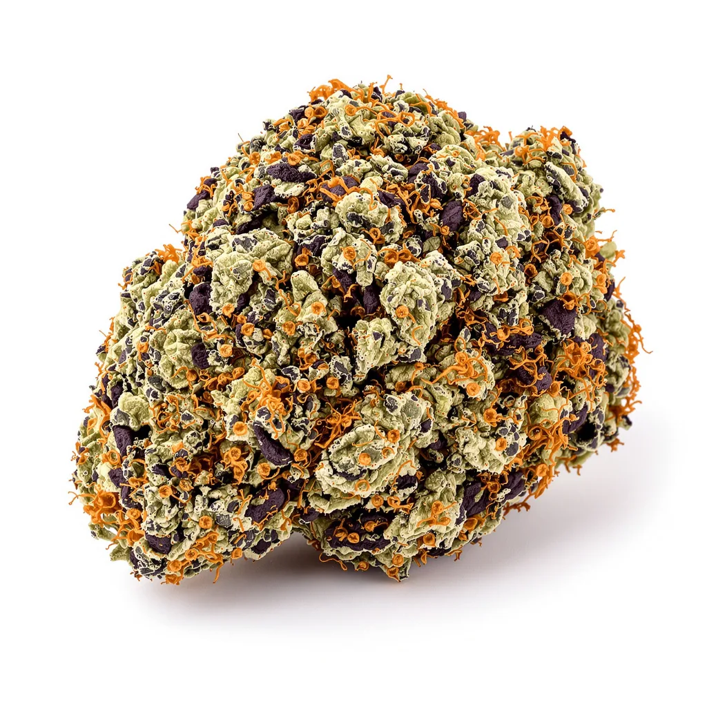 Pink Kush cannabis plant in flowering stage — 90-110 cm feminised