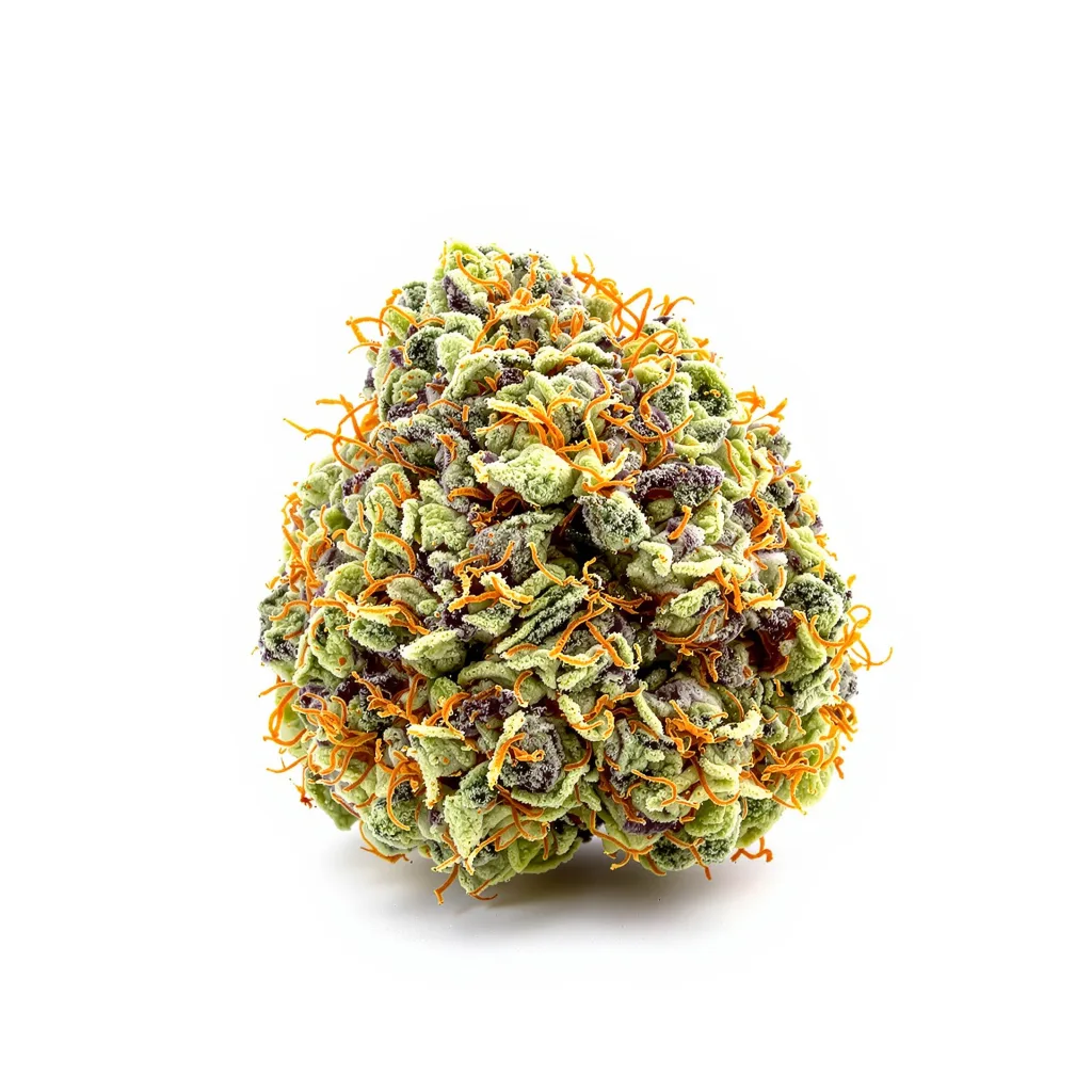 Platinum OG cannabis plant in flowering stage — 120-180 cm feminised