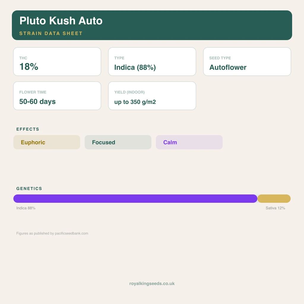 Pluto Kush 88% indica / 12% sativa flower with visible trichomes