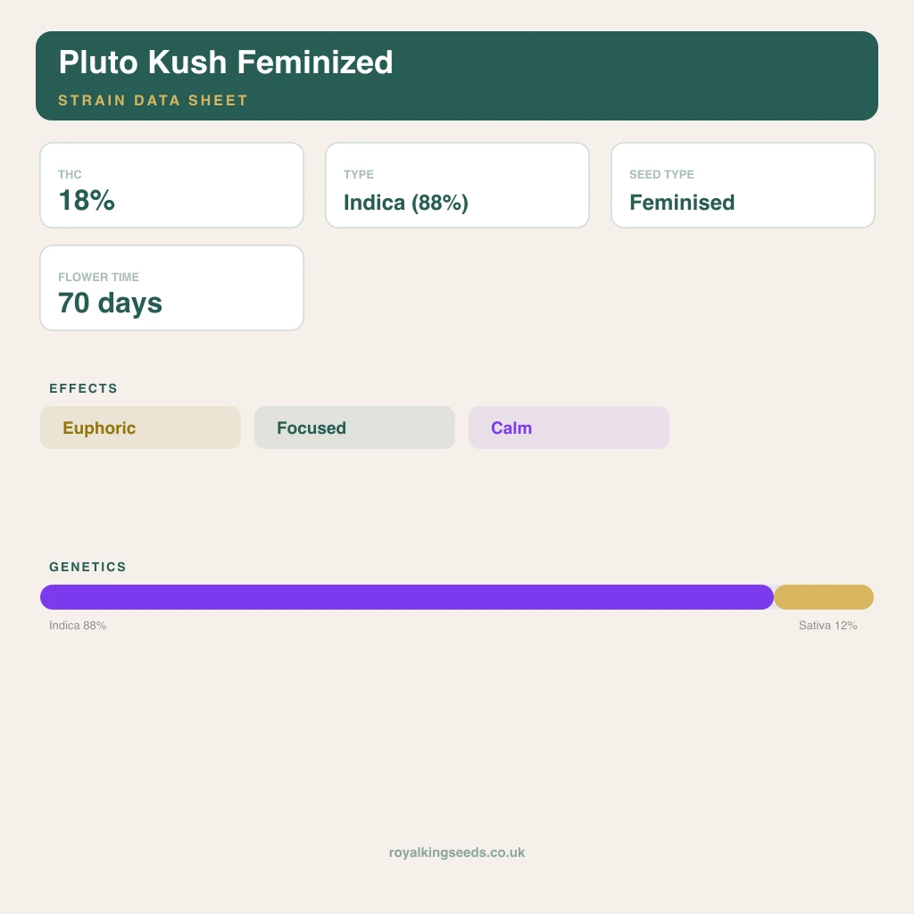 Pluto Kush 88% indica / 12% sativa flower with visible trichomes