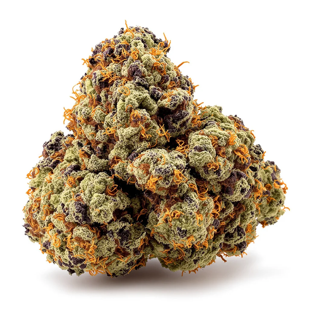 Pokie cannabis plant in flowering stage — 90-130 cm feminised