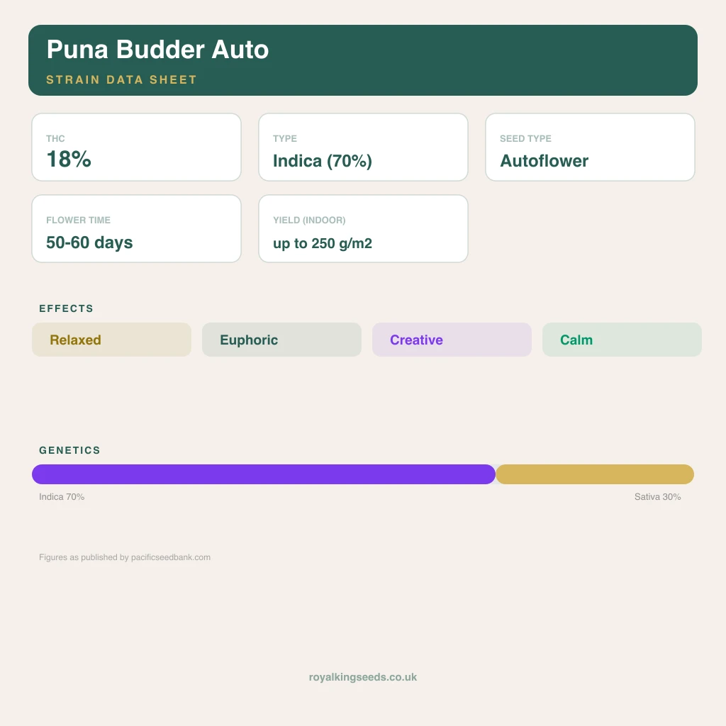 Puna Budder 70% indica / 30% sativa flower with visible trichomes