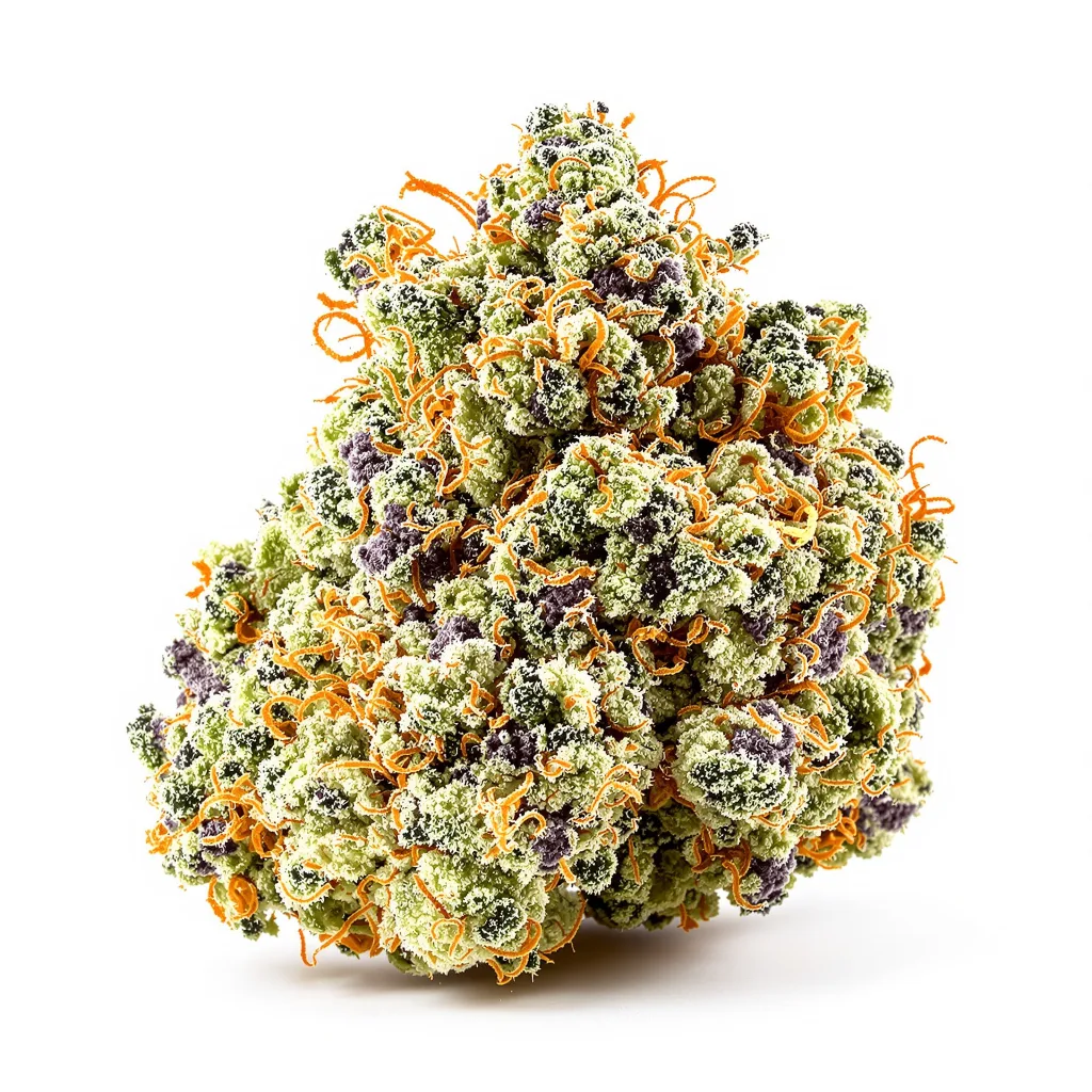 Punch Pie cannabis plant in flowering stage — 120-180 cm feminised