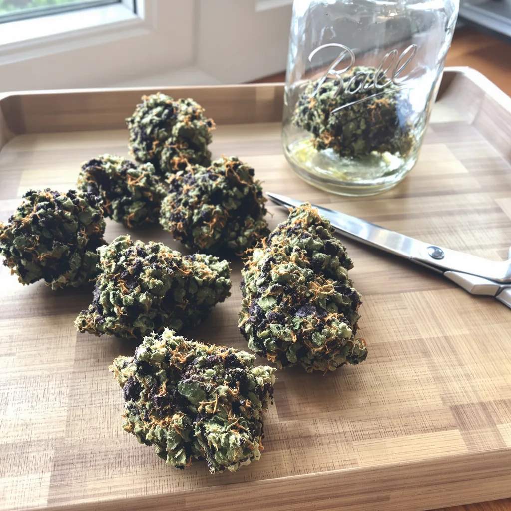 Pure Kush 70% indica / 30% sativa flower with visible trichomes