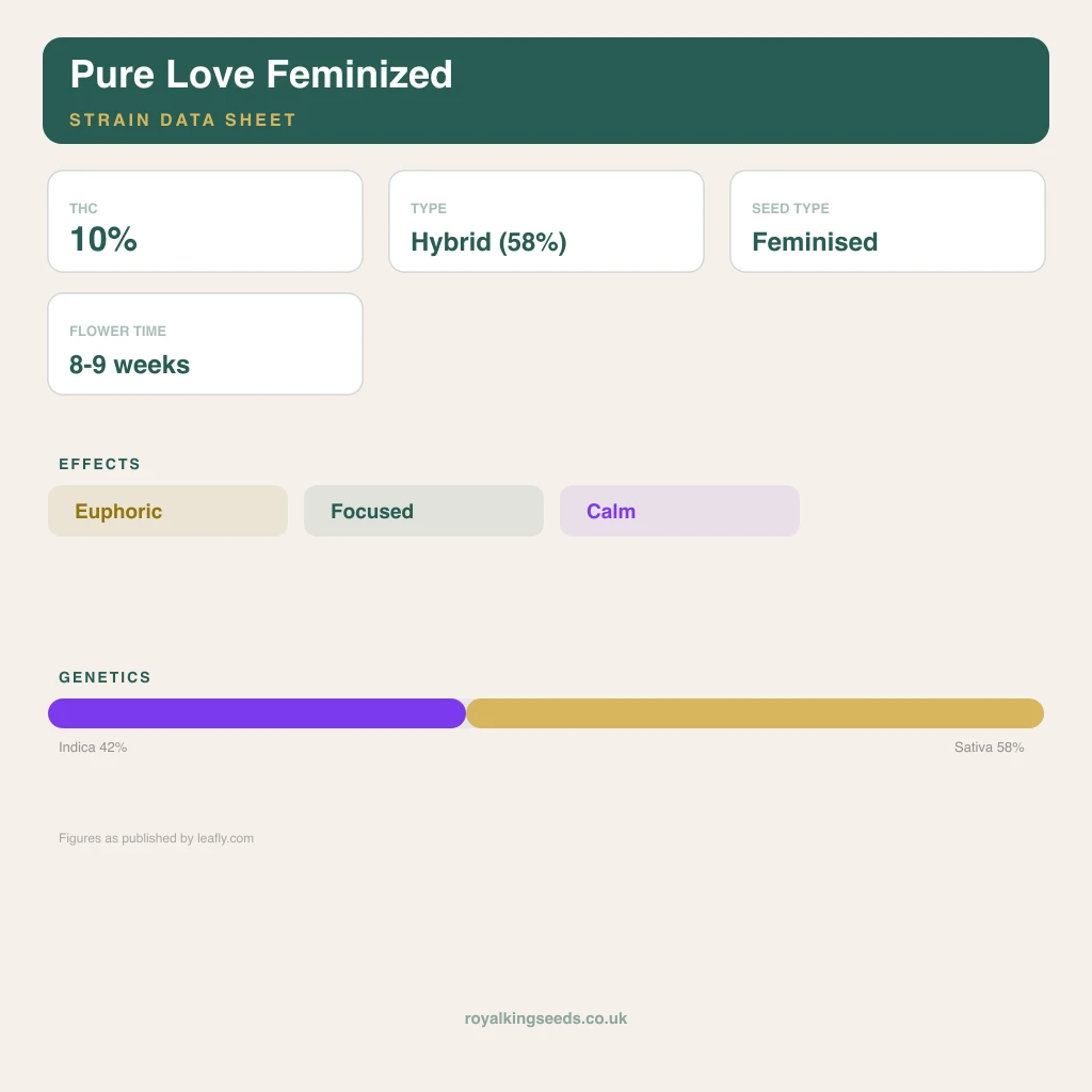 Pure Love 42% indica / 58% sativa flower with visible trichomes