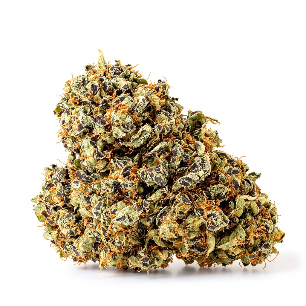 Purple Alien OG cannabis plant in flowering stage — 60-100 cm autoflower
