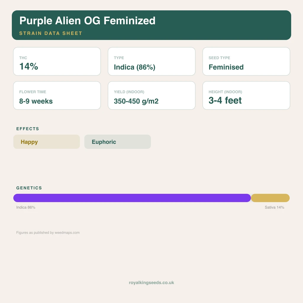 Purple Alien OG 86% indica / 14% sativa flower with visible trichomes
