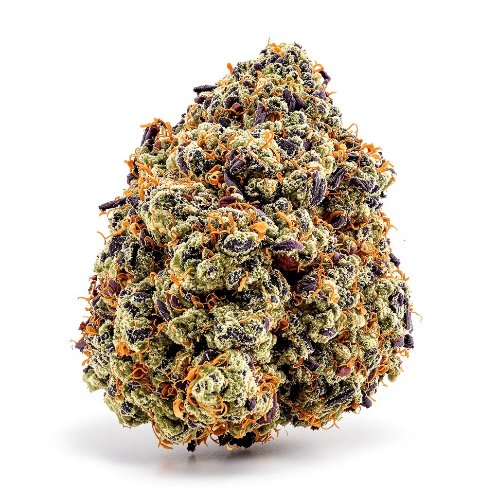 Purple Alien OG cannabis plant in flowering stage — 90-130 cm feminised
