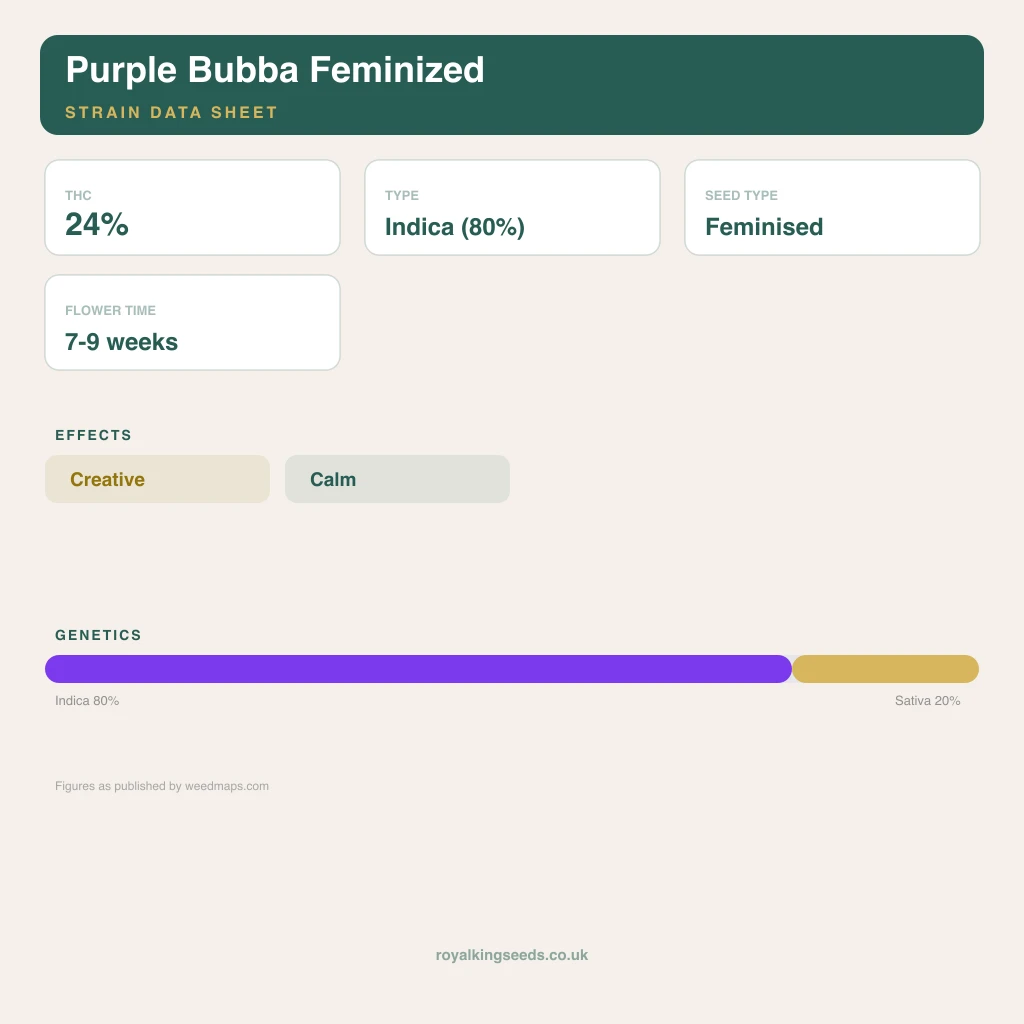 Purple Bubba 80% indica / 20% sativa flower with visible trichomes