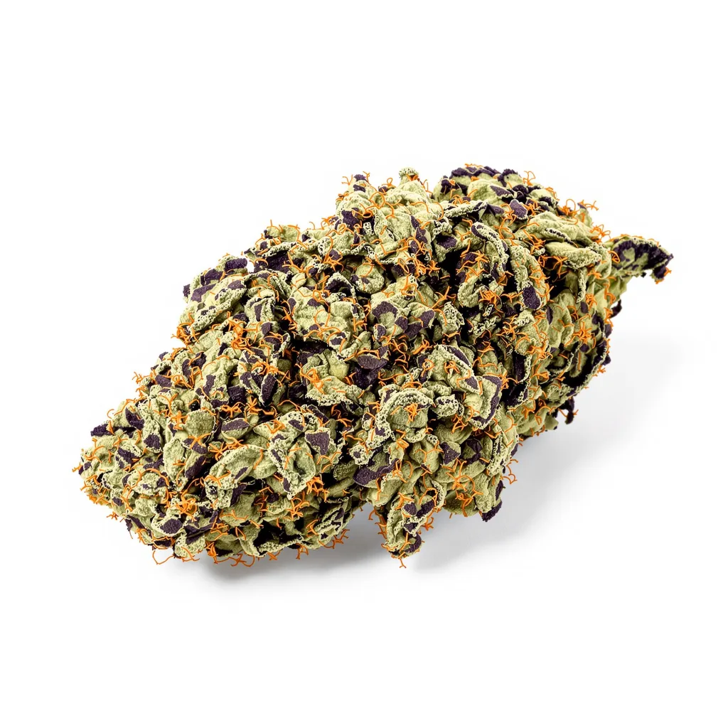 Purple Buddha cannabis plant in flowering stage — 90-130 cm feminised