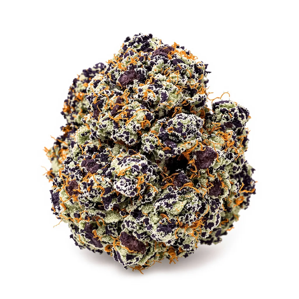 Purple Candy cannabis plant in flowering stage — 60-100 cm autoflower