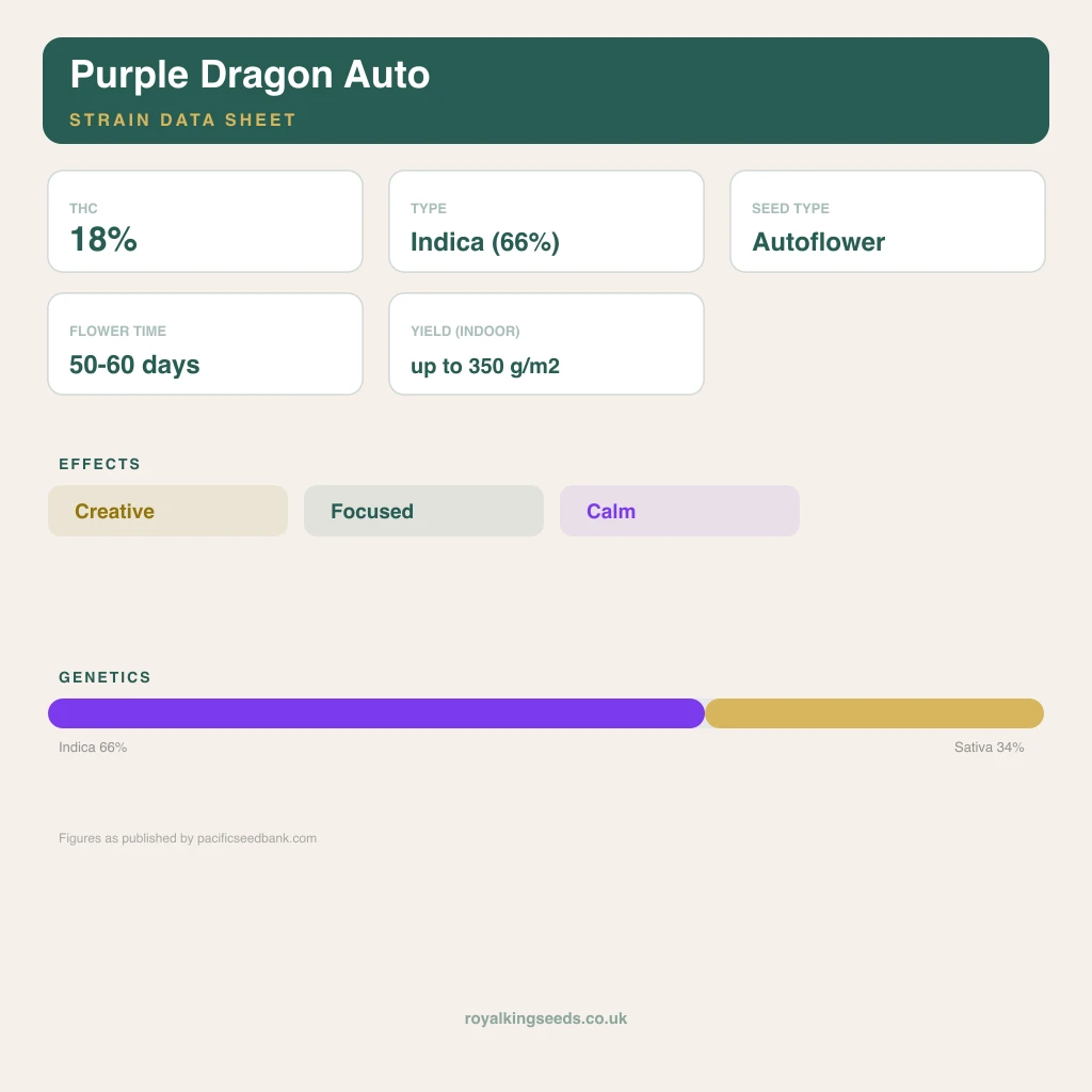 Purple Dragon 66% indica / 34% sativa flower with visible trichomes
