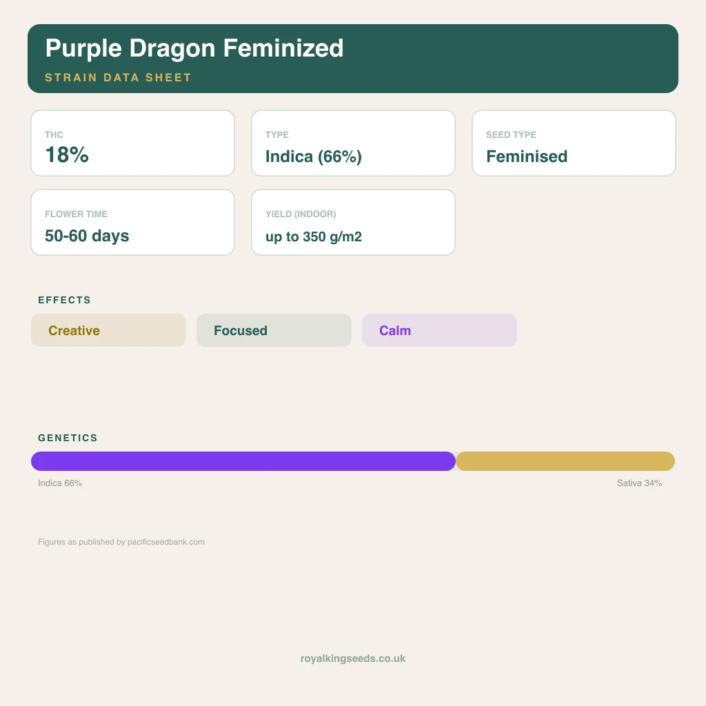 Purple Dragon 66% indica / 34% sativa flower with visible trichomes
