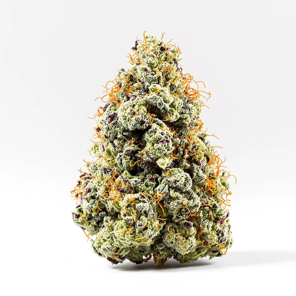 Purple Gorilla cannabis plant in flowering stage — 60-100 cm autoflower