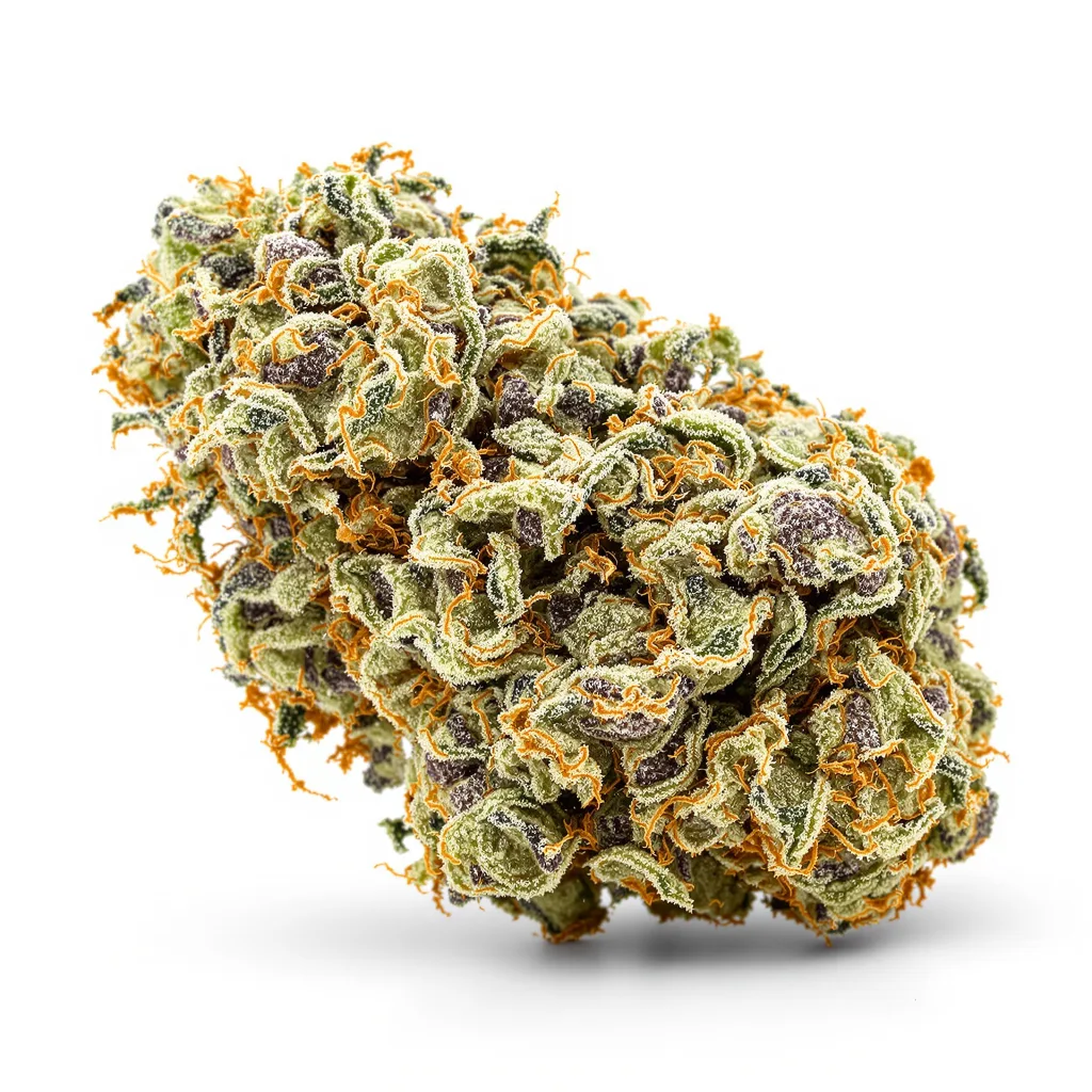 Purple Gorilla cannabis plant in flowering stage — 120-180 cm feminised