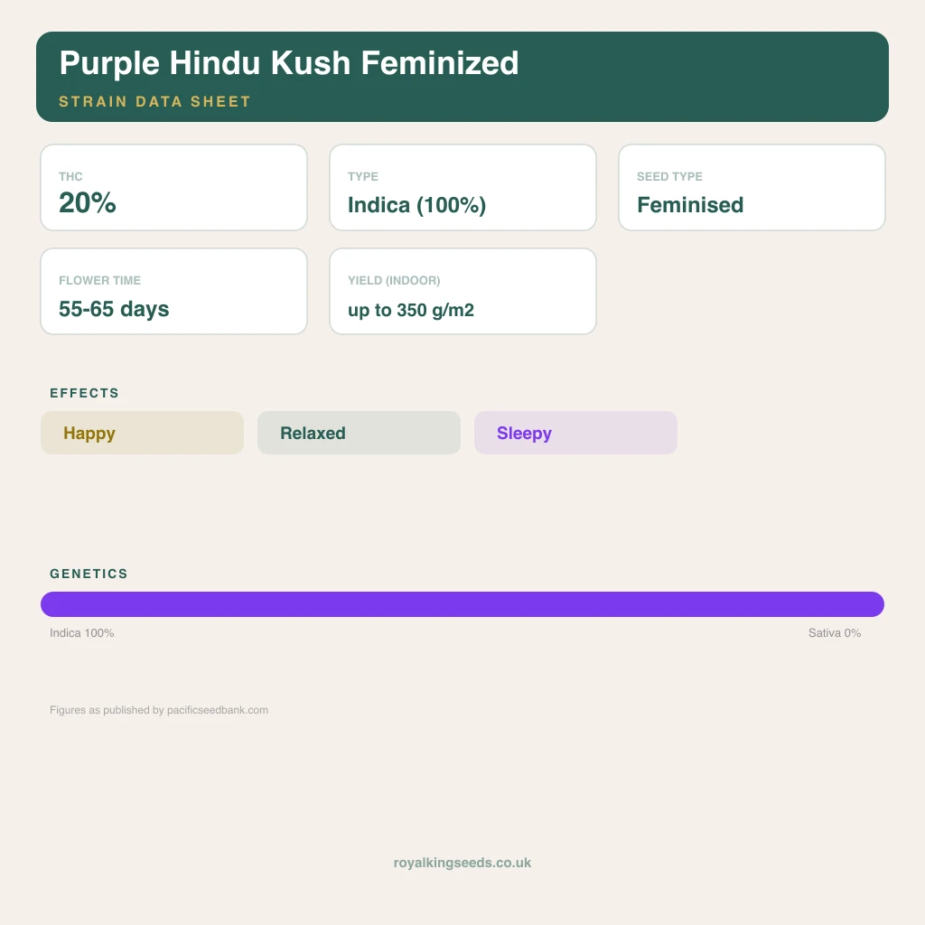 Purple Hindu Kush 100% indica / 50% sativa flower with visible trichomes