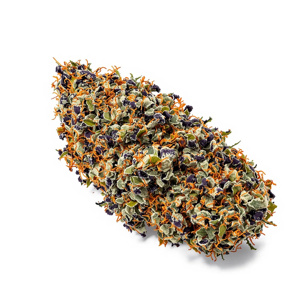 Purple Kush cannabis plant in flowering stage — 60-100 cm autoflower