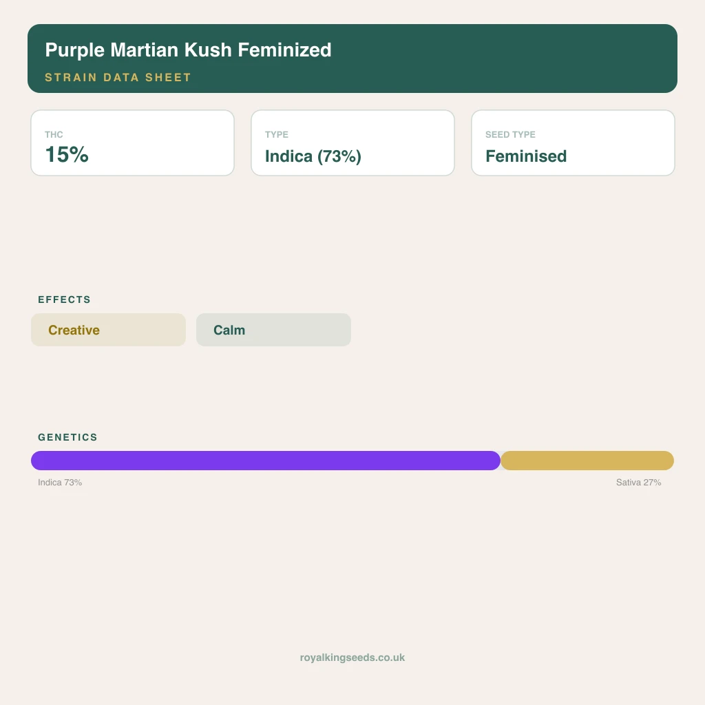 Purple Martian Kush 73% indica / 27% sativa flower with visible trichomes