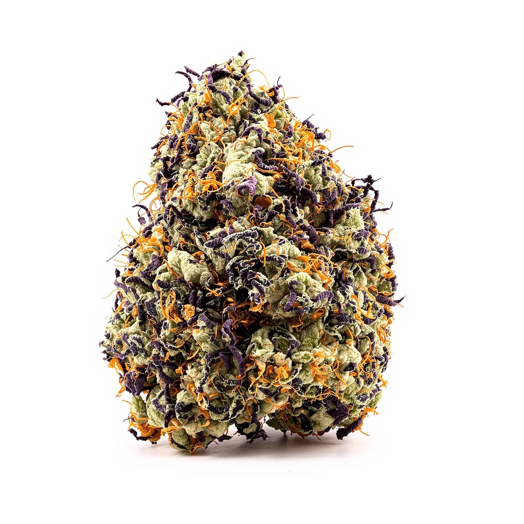 Purple Martian Kush cannabis plant in flowering stage — 90-130 cm feminised