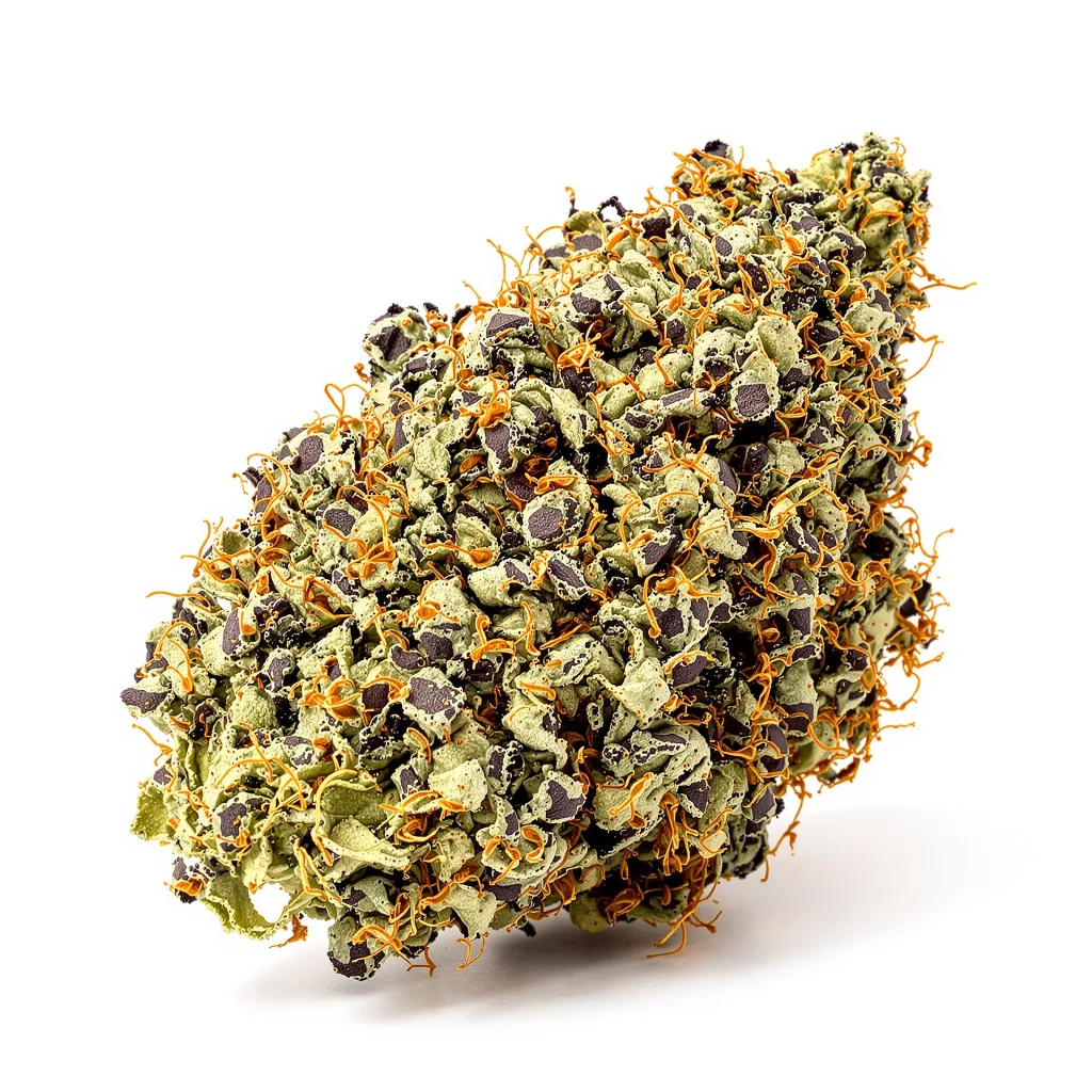 Purple Monkey Balls cannabis plant in flowering stage — 60-100 cm autoflower