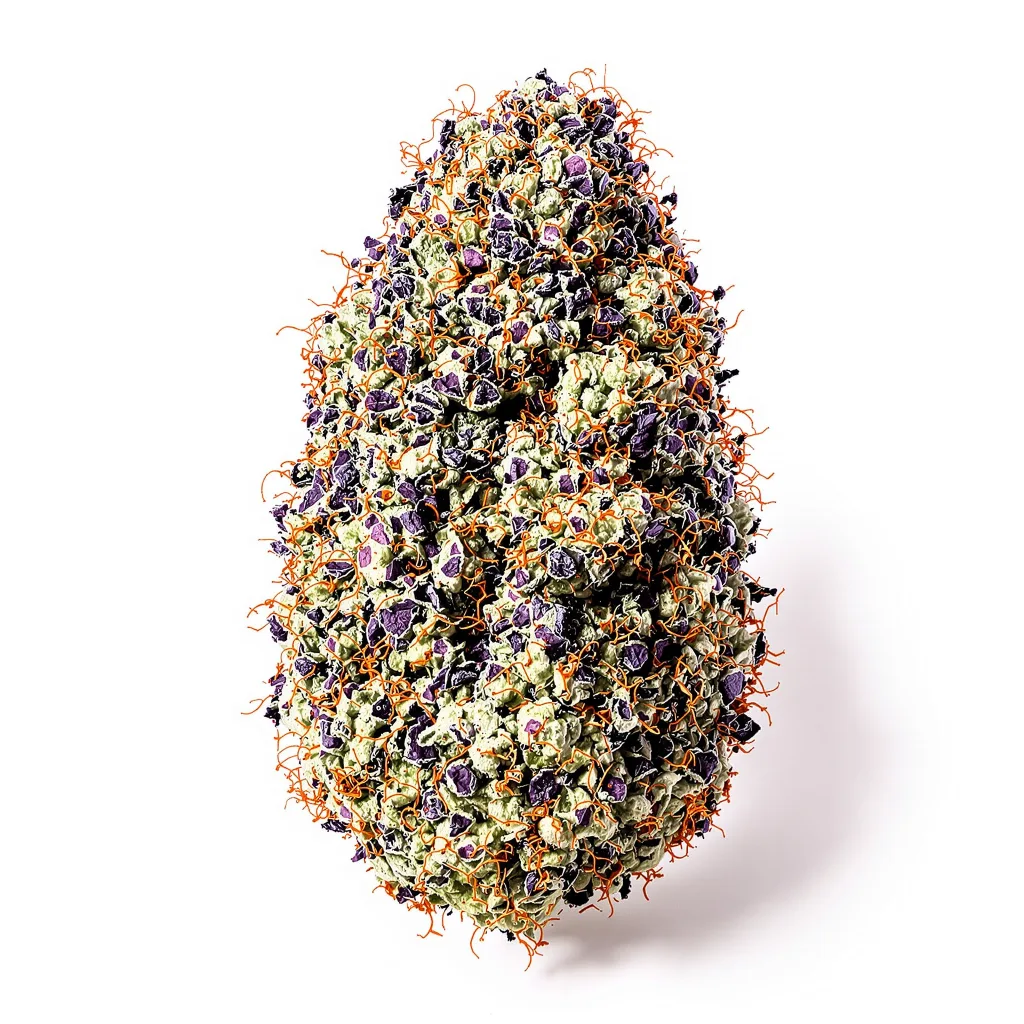 Purple Monkey Balls cannabis plant in flowering stage — 90-130 cm feminised
