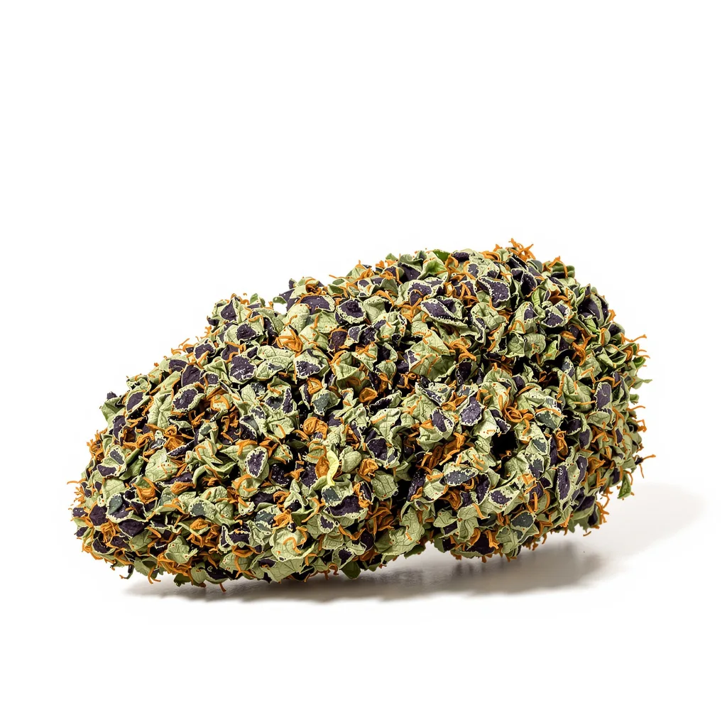 Purple Passion cannabis plant in flowering stage — 60-100 cm autoflower