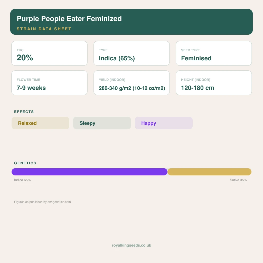 Purple People Eater 65% indica / 35% sativa flower with visible trichomes