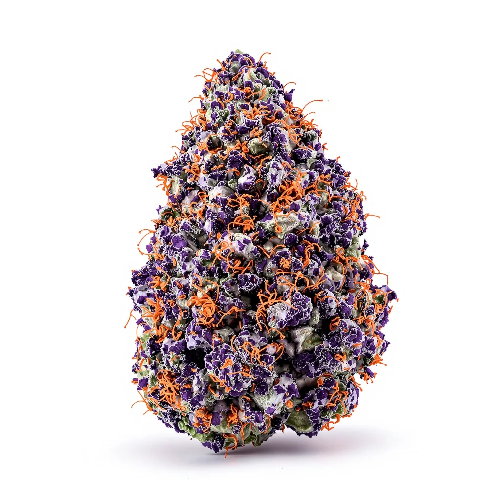 Purple Sage cannabis plant in flowering stage — 90-130 cm feminised